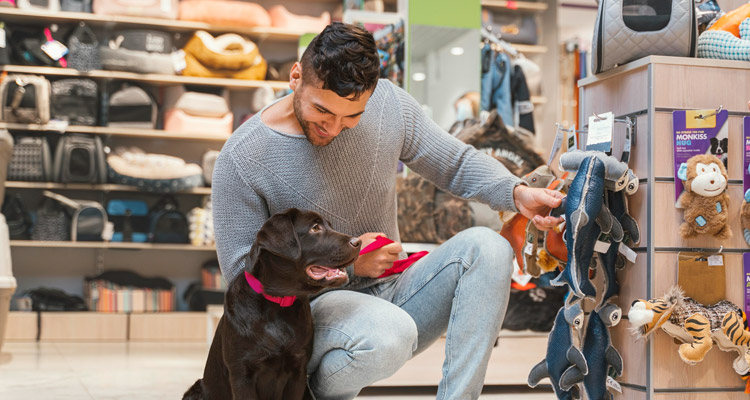 Você está visualizando atualmente Desafios e tendências do mercado pet